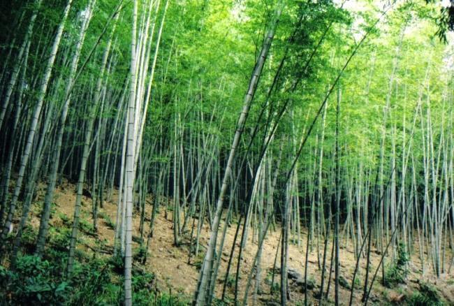 北橫之星 Taoyuan Bagian luar foto